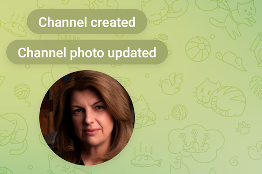 Телеграм-канал Елены Замышляйченко