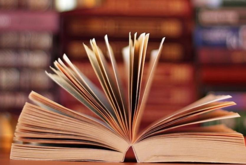 Книговыдача и новинки недели