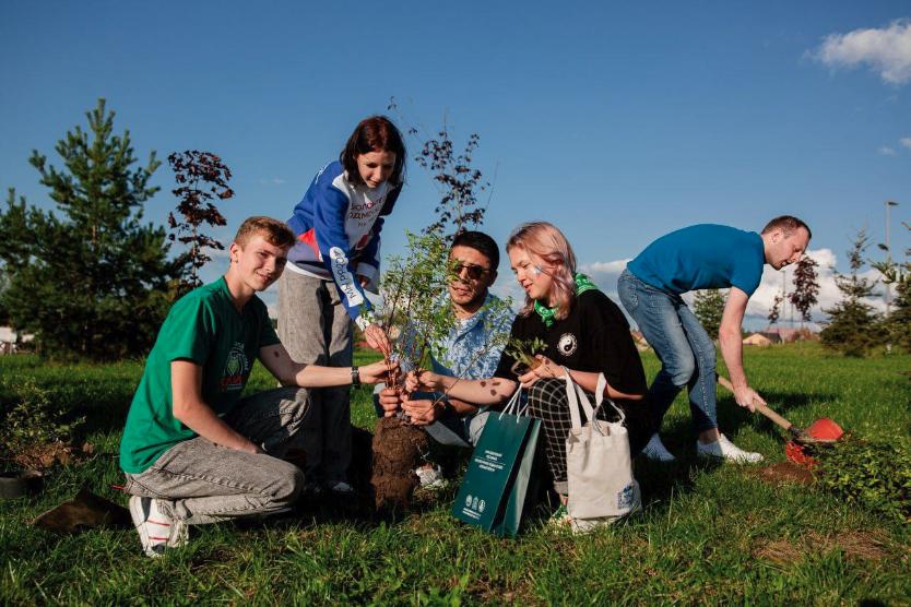 Зеленый регион