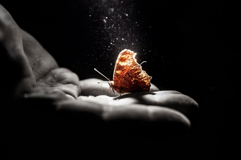 Конкурс социальных плакатов "Я - жизнь"