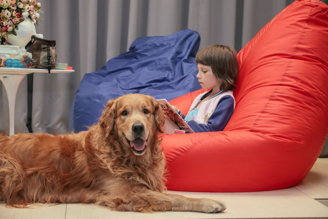 Пет-терапия в библиотеке