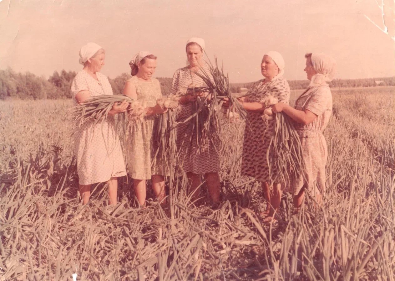 Библиотеки возрождают традиции