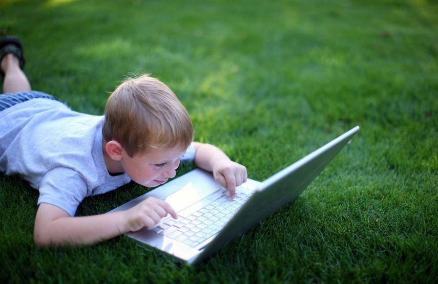 Летний лагерь онлайн